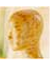acupuncture and wellness services